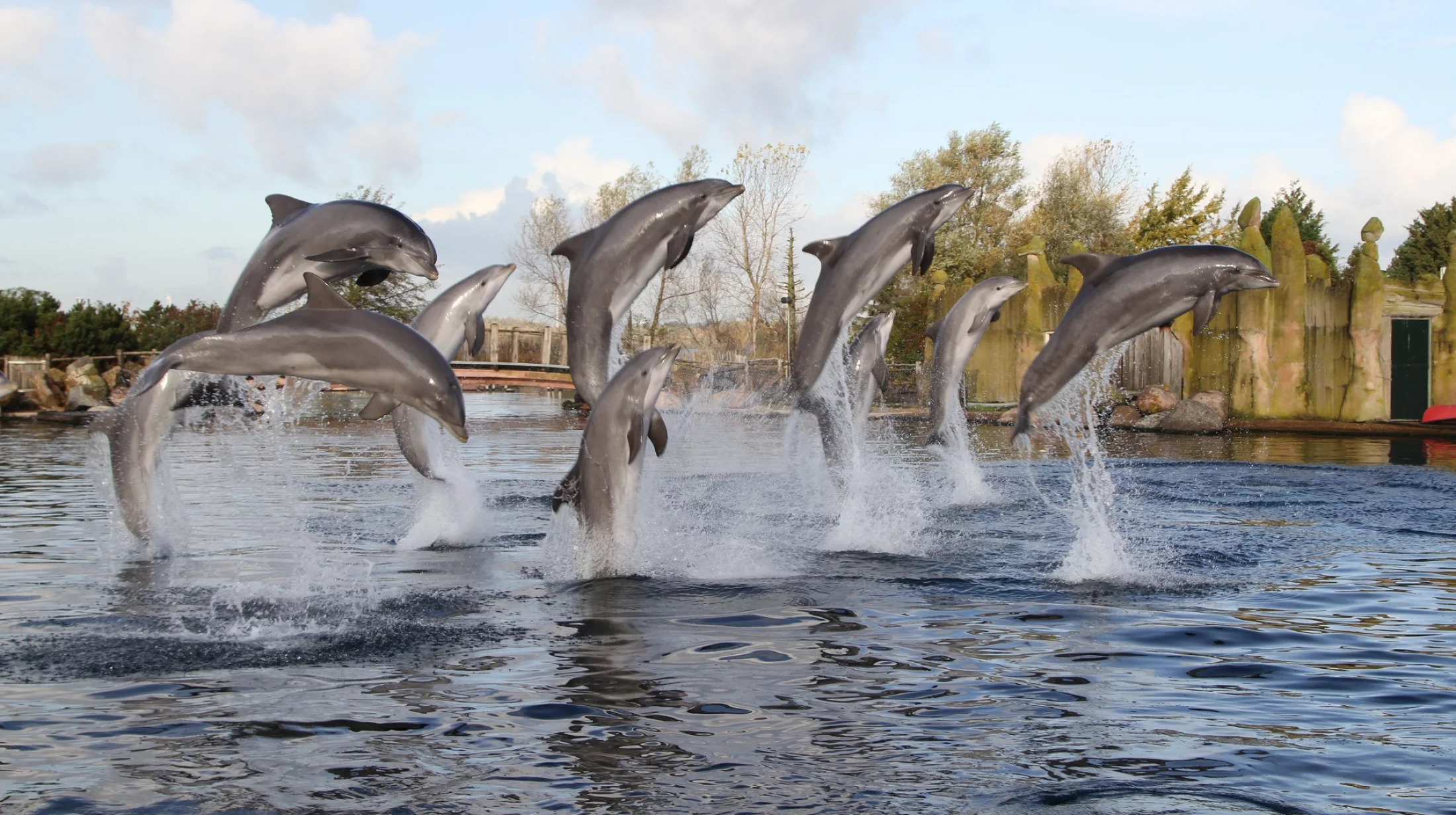 Dolfinarium Harderwijk The Netherlands Photo Blog