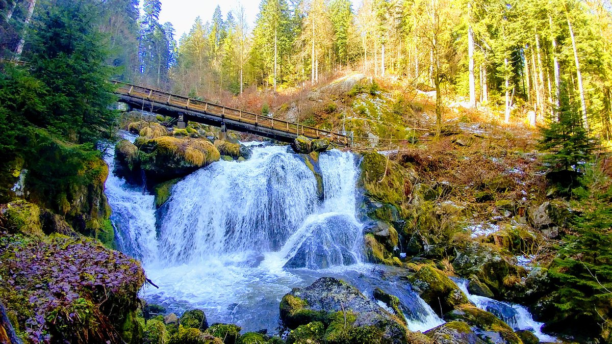 Triberg Schwarzwald Germany Waterfall Photo